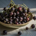 Cassis