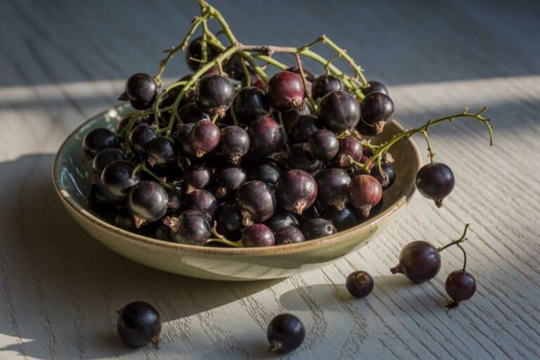 Grappes de cassis noir dans un bol sur surface en bois
