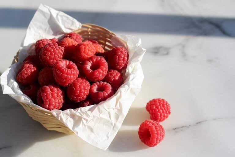 Framboises fraîches dans un bol en céramique blanche
